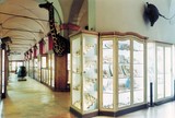 National Museum Of Prehistory Della Valle Camonica