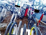 Cicli Buccheri vendita biciclette