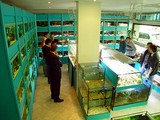 Zoo-Shop