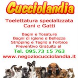 Negozio di animali a Catania