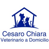 Cesaro Chiara Veterinario a Domicilio