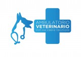 Ambulatorio veterinario Dott.ssa Vecchione Valeria