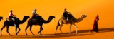 Tours in Marocco